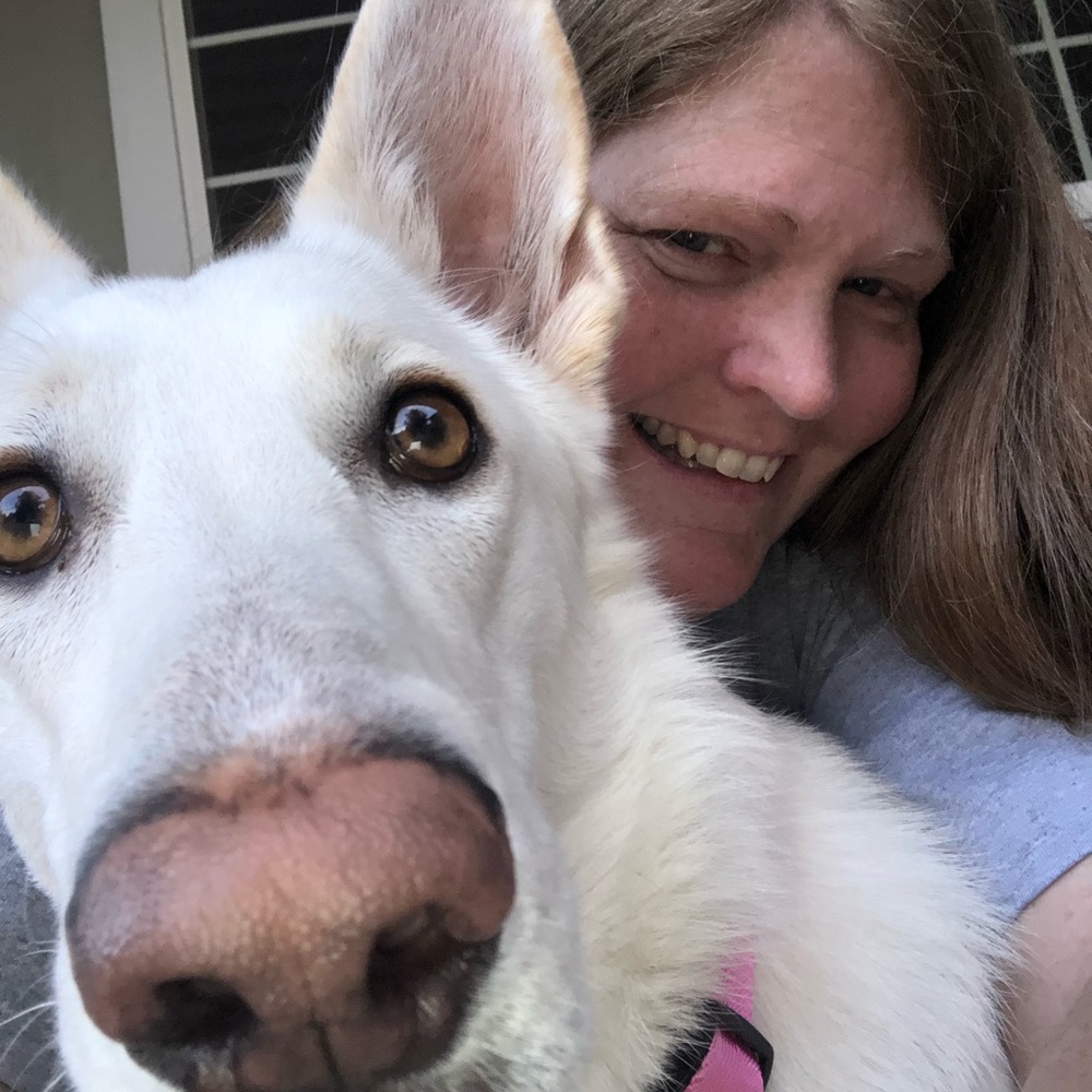 Meet your Posher, Kelly